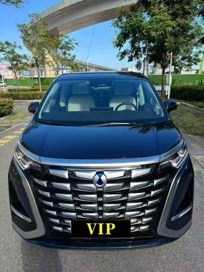 西安24年腾势D91