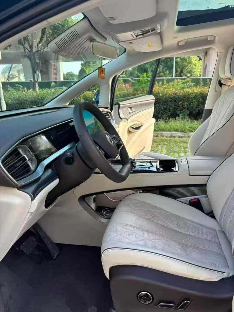 西安24年腾势D95