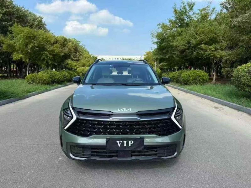 常州22年起亚狮铂1