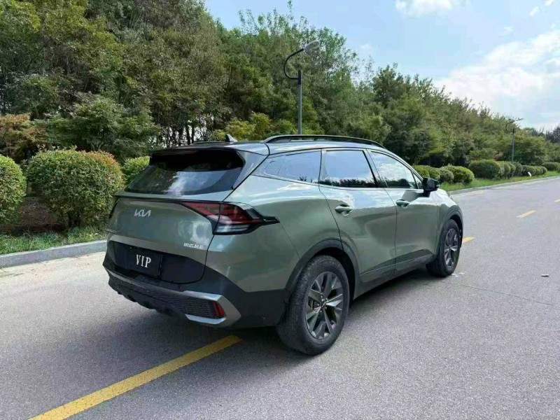 常州22年起亚狮铂9