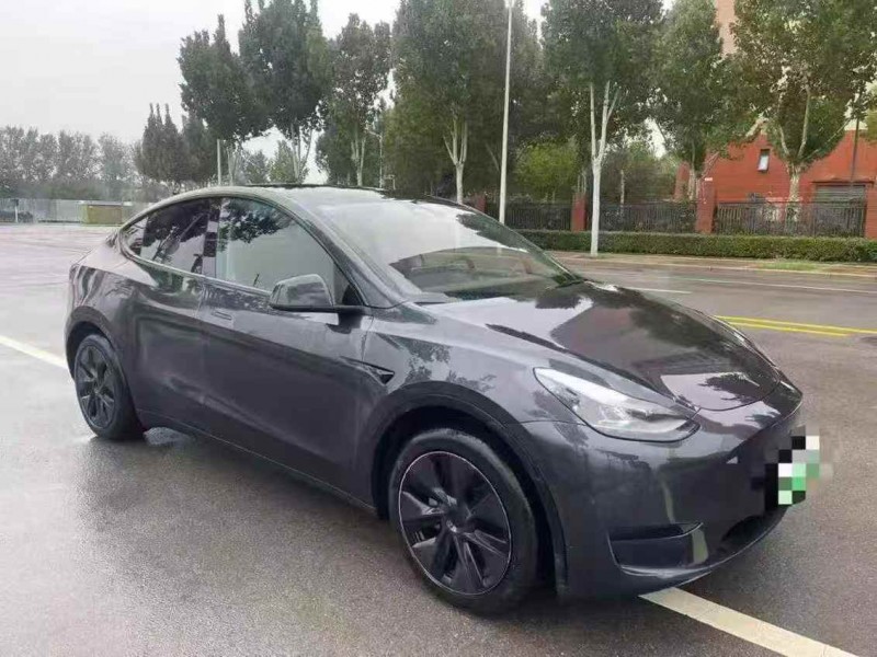 平顶山24年特斯拉MODEL Y3