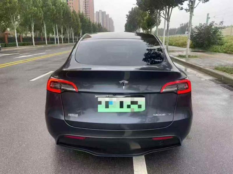 平顶山24年特斯拉MODEL Y8
