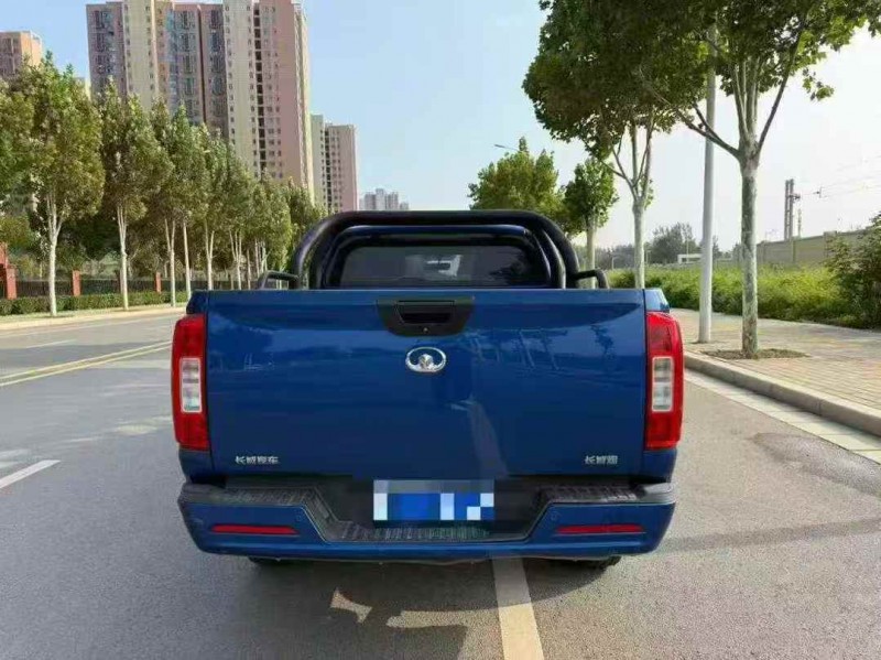 安阳21年长城汽车炮 皮卡7