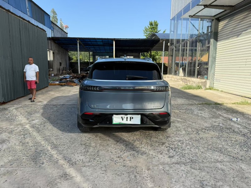 徐州21年岚图汽车FREE9