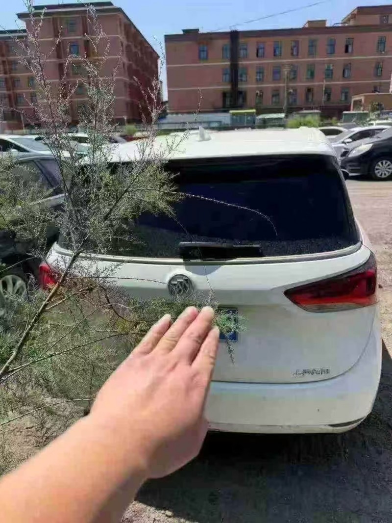 菏泽19年别克GL66