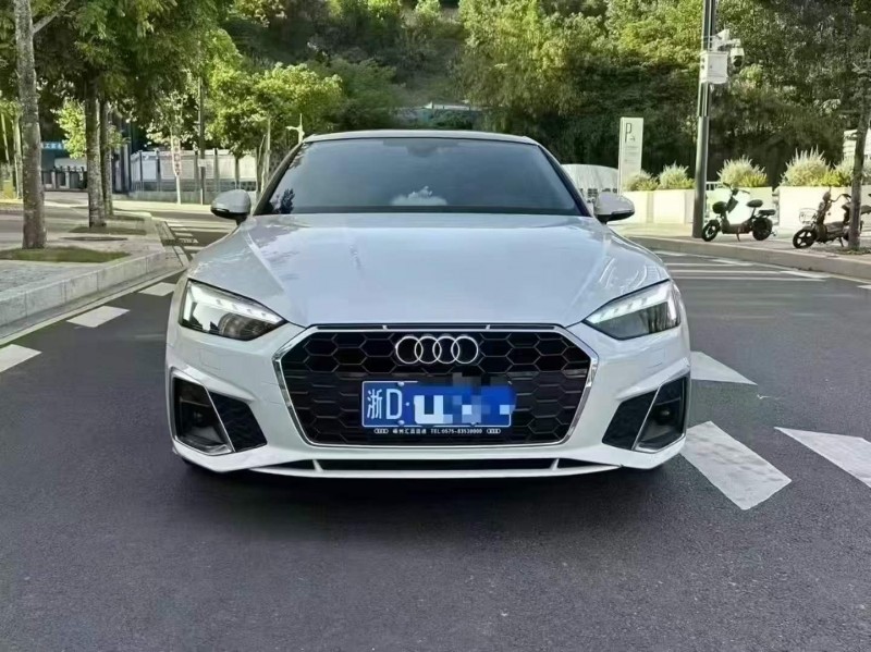 广州22年奥迪A51