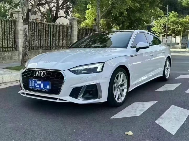 广州22年奥迪A53