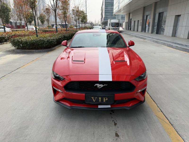 济宁19年福特野马1