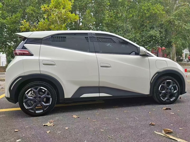 菏泽24年比亚迪海鸥3