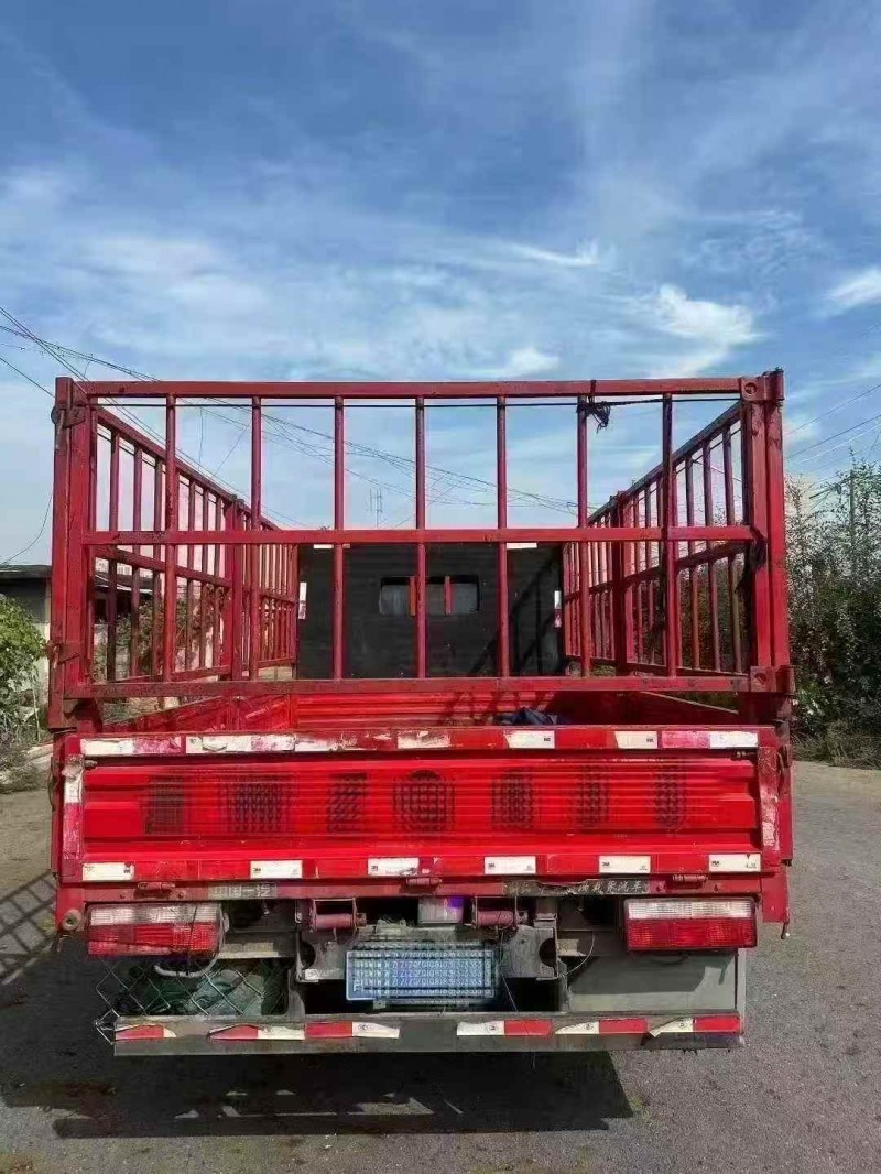 东营21年解放解放卡车4