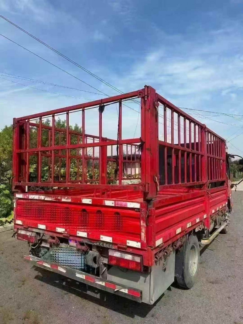 东营21年解放解放卡车9