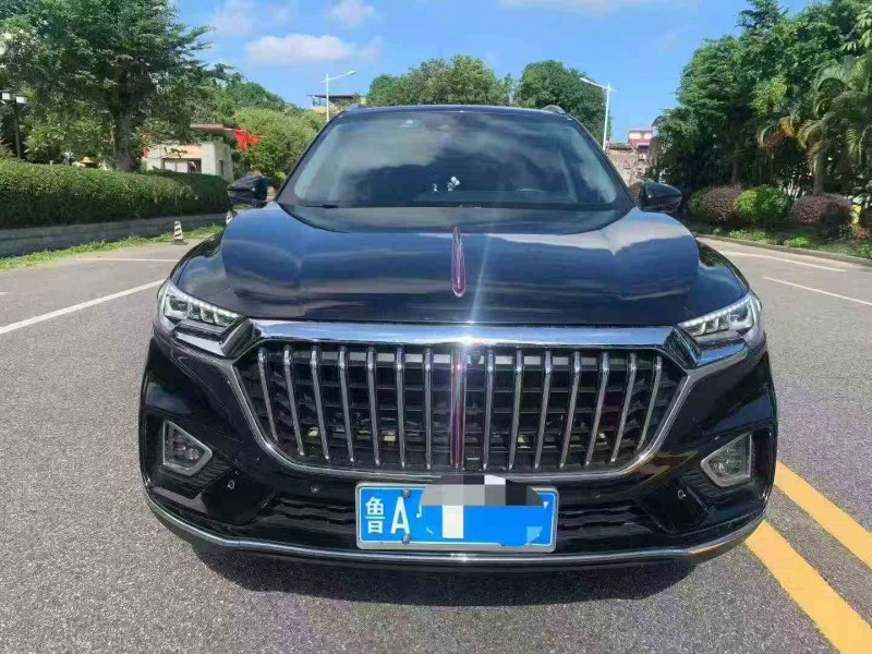 佛山20年红旗HS51