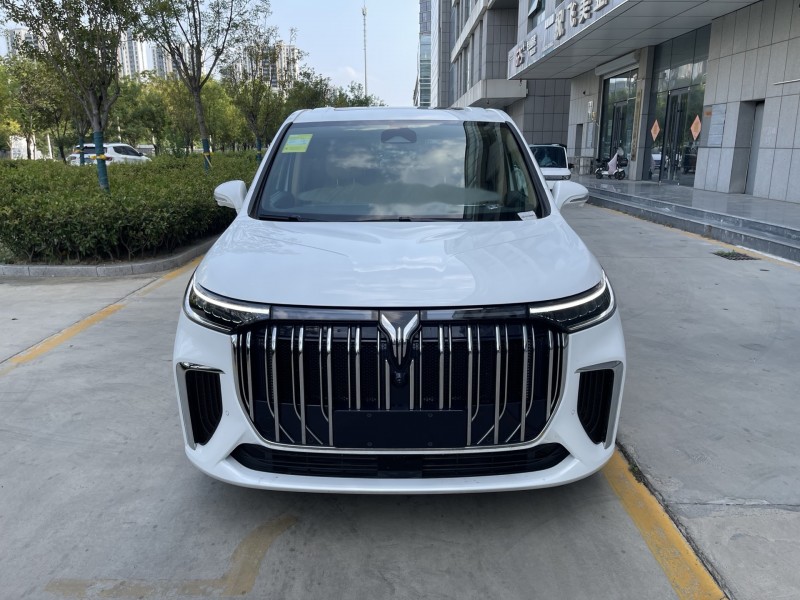 济宁25年岚图汽车梦想家1