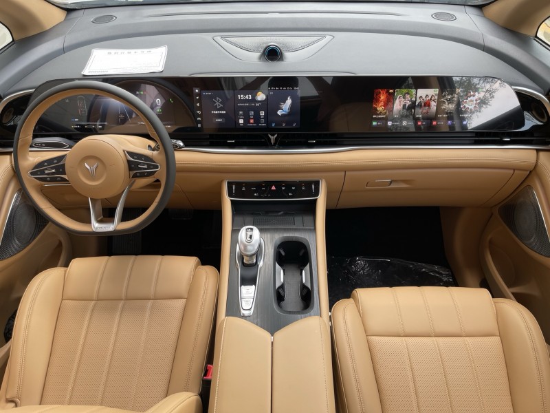 济宁25年岚图汽车梦想家6