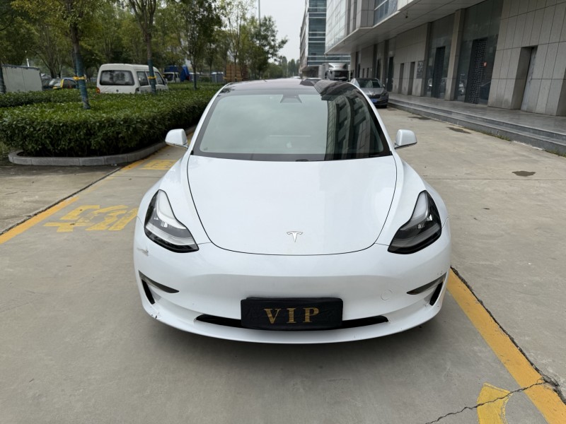 济宁19年特斯拉MODEL 31