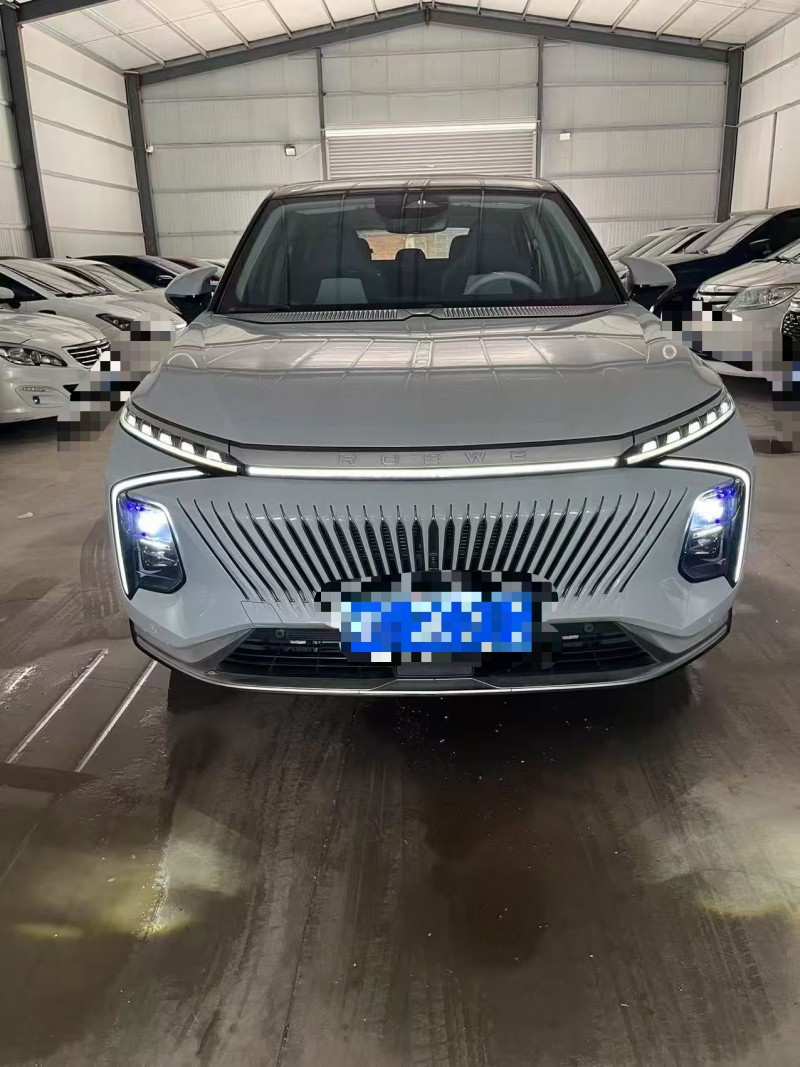 菏泽22年荣威鲸1