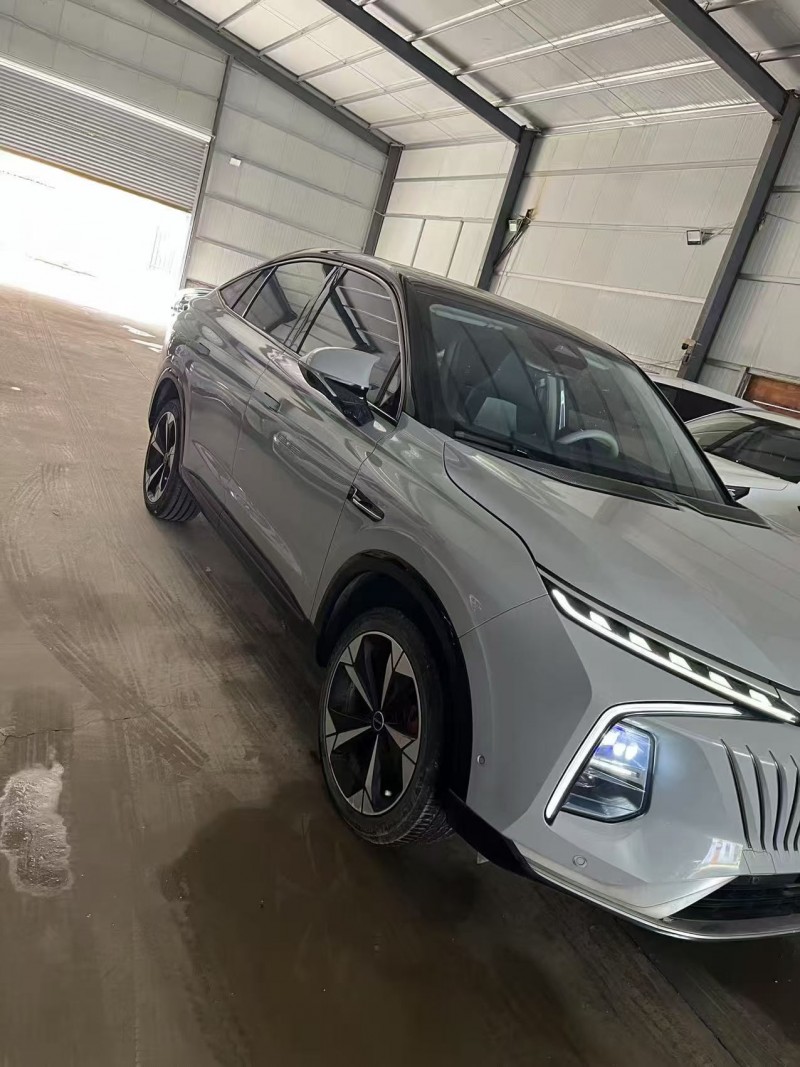 菏泽22年荣威鲸3