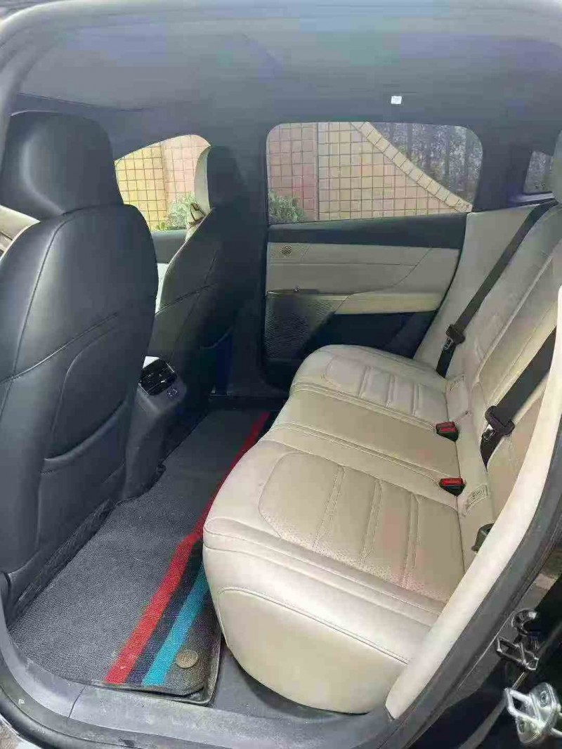 江门24年东风奕派6