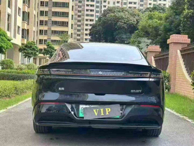 江门24年东风奕派9