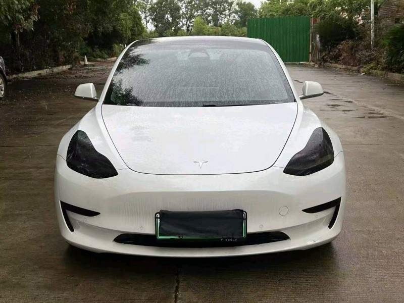 娄底20年特斯拉MODEL 31
