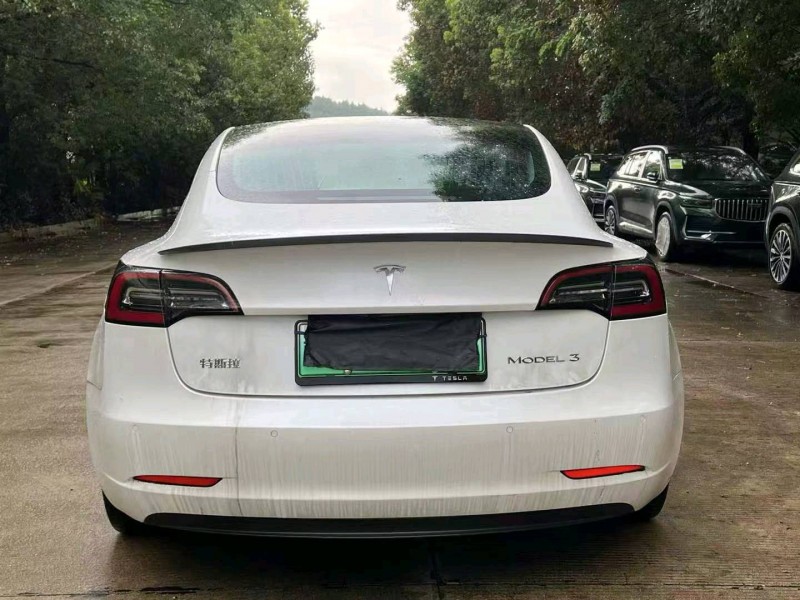 娄底20年特斯拉MODEL 39