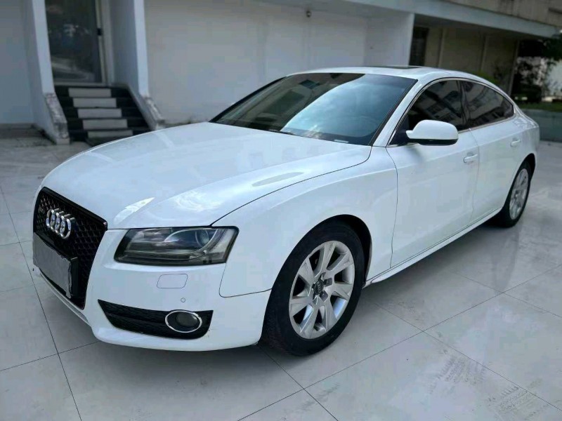 河源11年奥迪A53