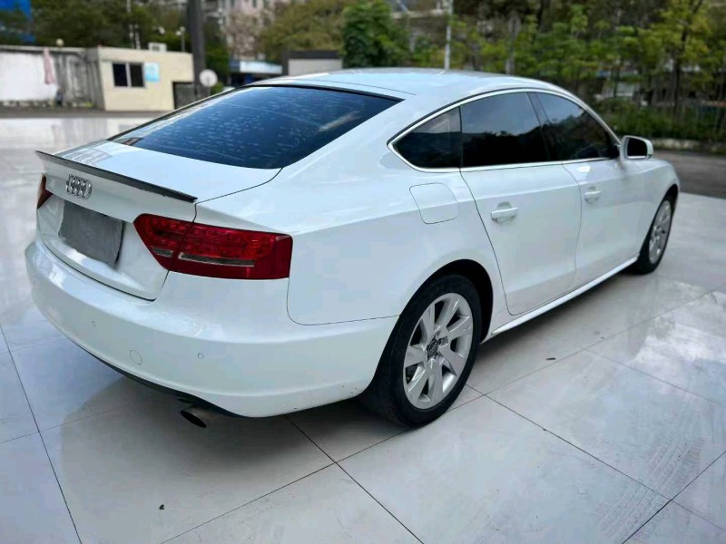 河源11年奥迪A57