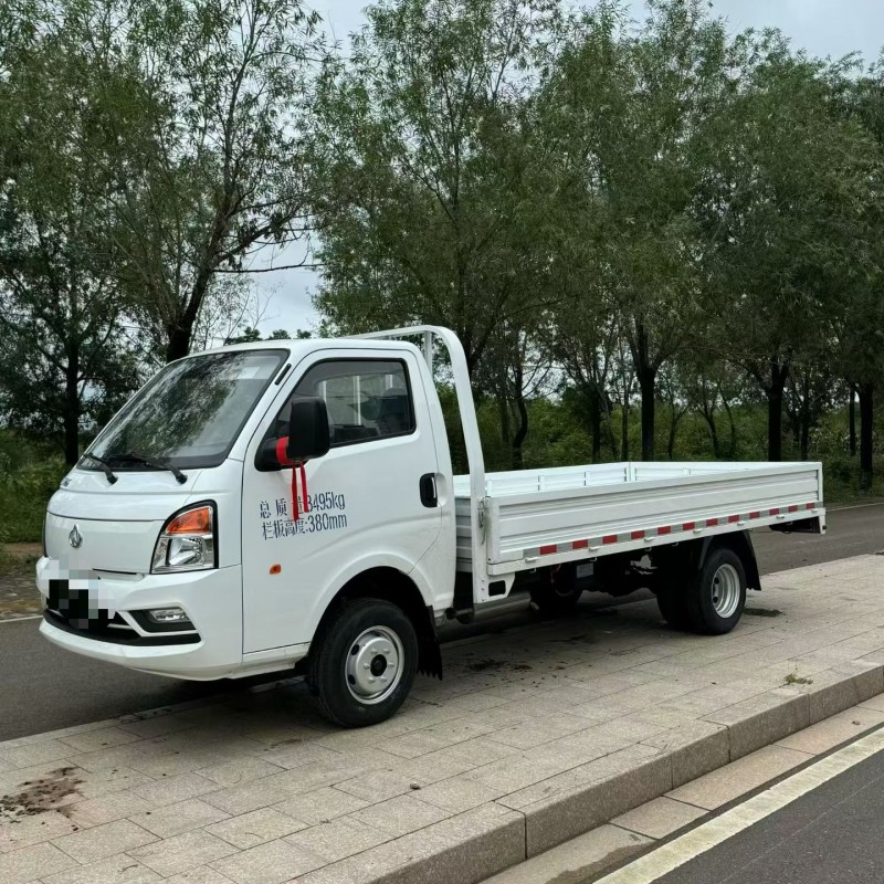 枣庄25年长安汽车跨越王2