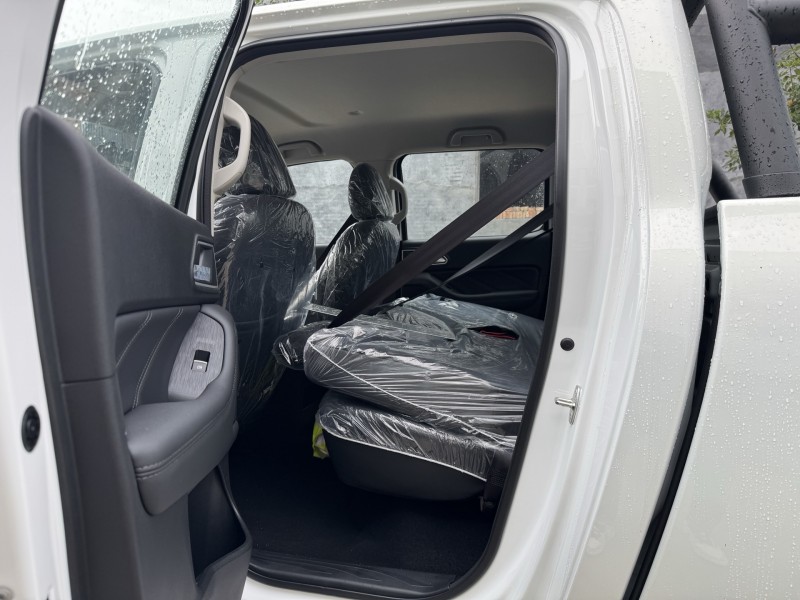 新乡25年长城汽车炮 皮卡9