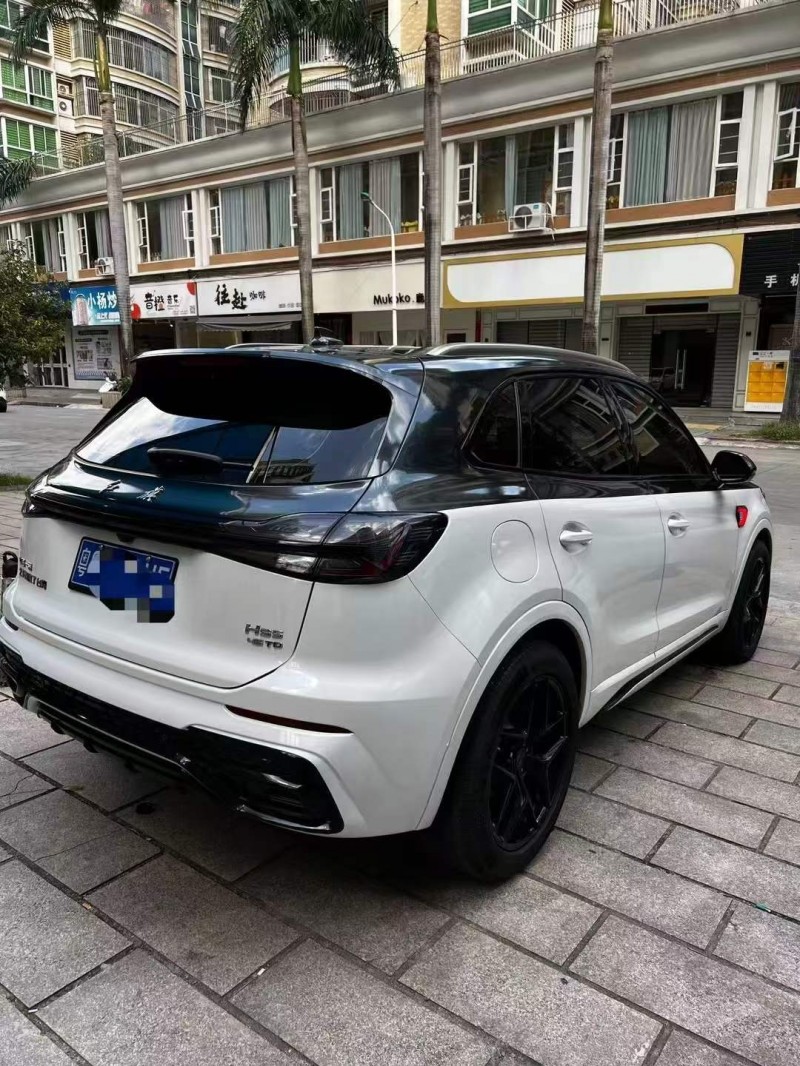 广州23年红旗HS53