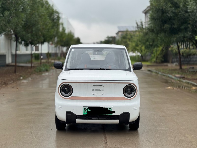 新乡25年吉利熊猫1