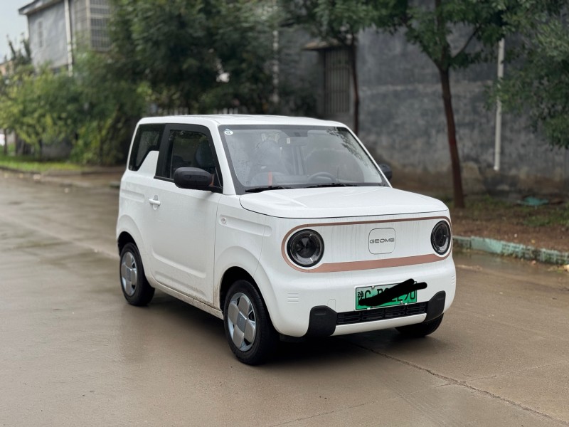 新乡25年吉利熊猫2