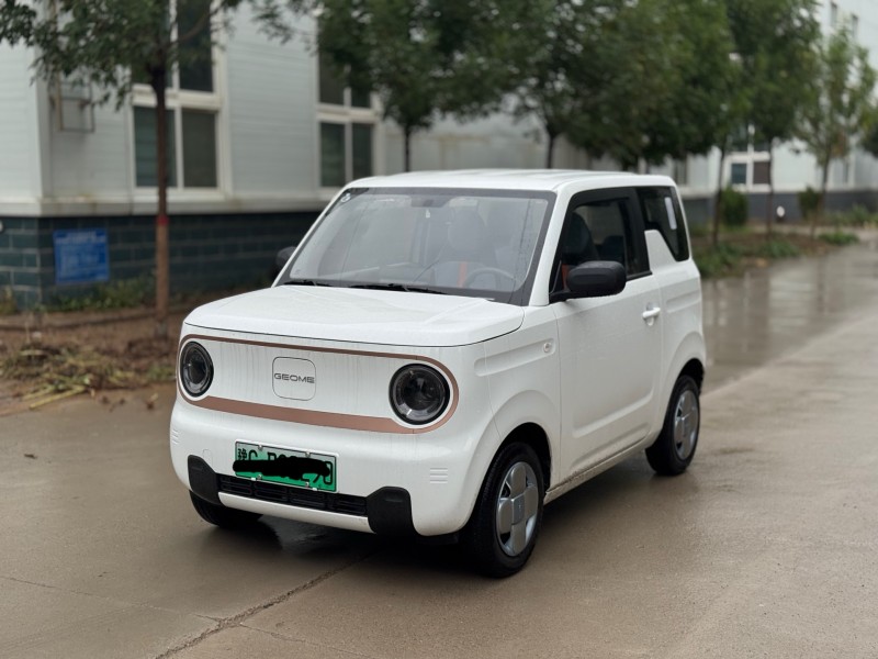 新乡25年吉利熊猫3