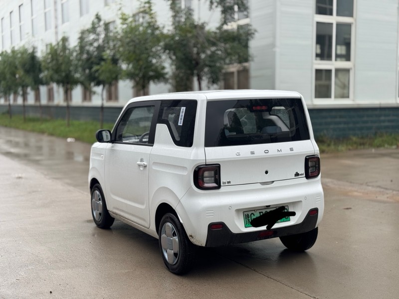 新乡25年吉利熊猫6