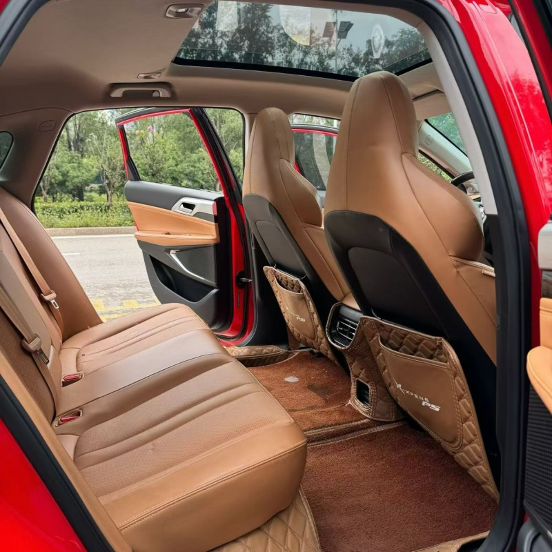 枣庄22年小鹏汽车P56