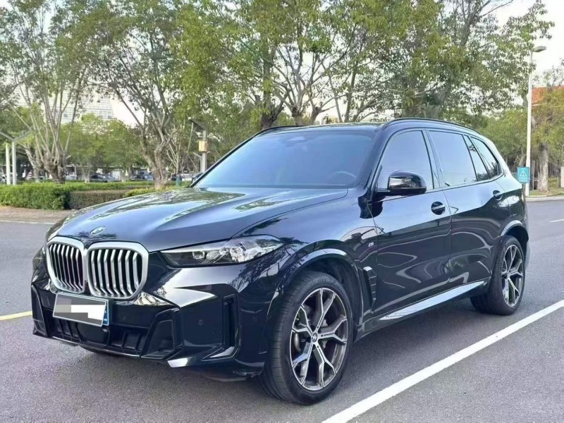 广州23年宝马X54