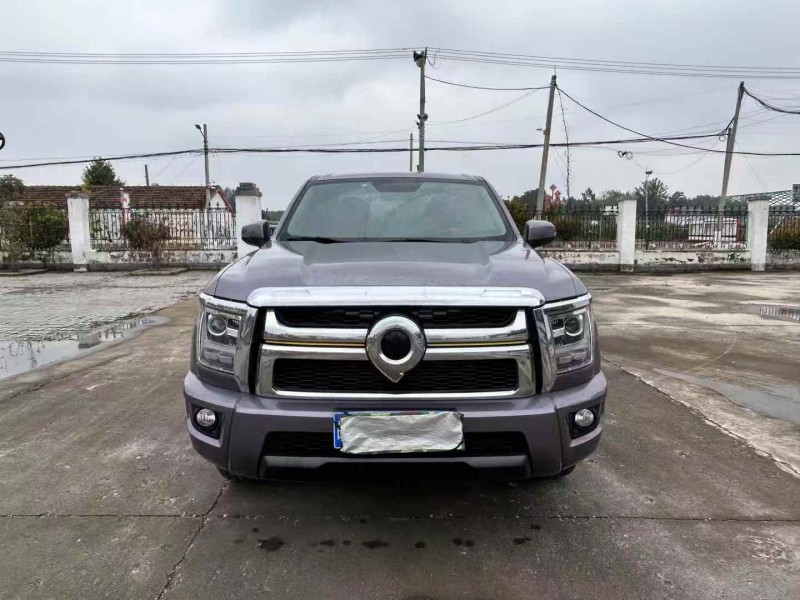 徐州23年长城汽车炮 皮卡1