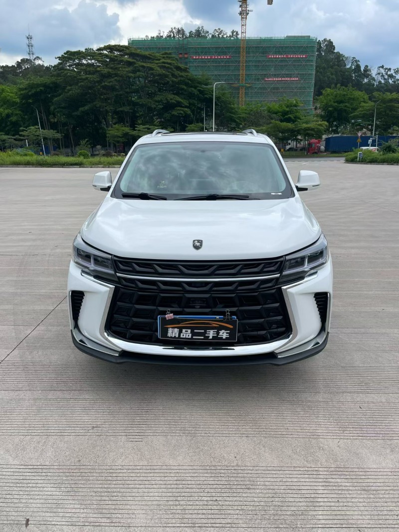 广州24年东风风行1