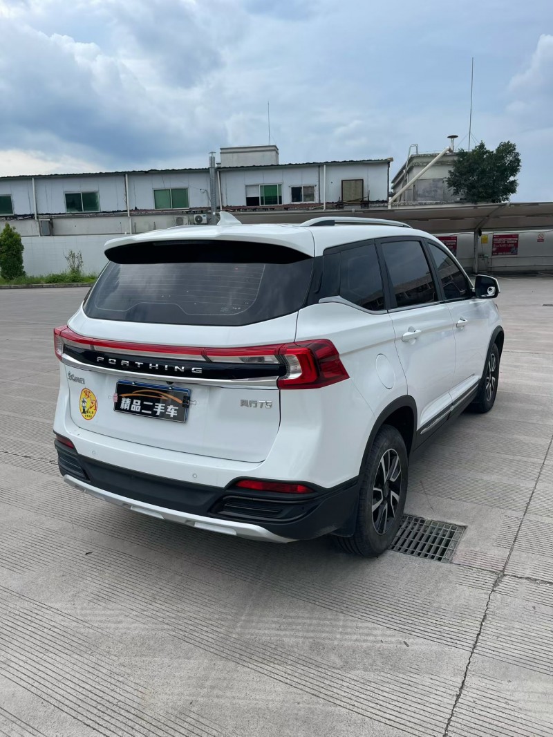 广州24年东风风行8