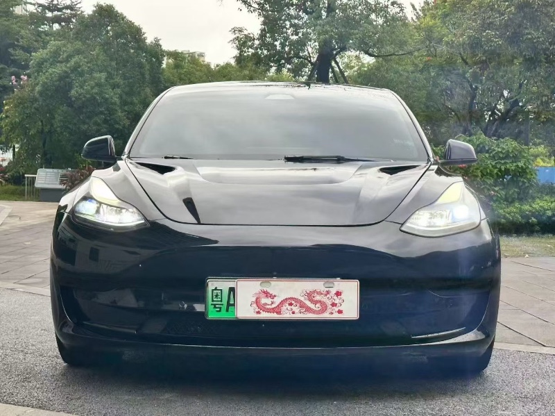 佛山22年特斯拉MODEL 31