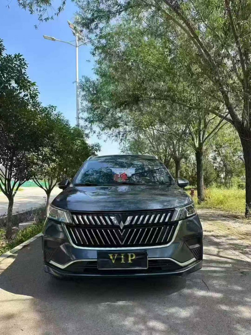 济宁23年五菱汽车佳辰1