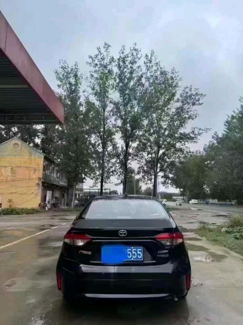 菏泽20年丰田雷凌9