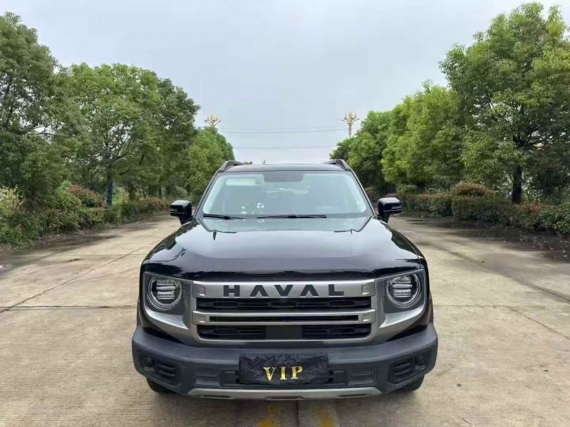 徐州24年哈弗大狗1