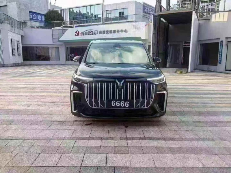 九江24年岚图汽车梦想家1