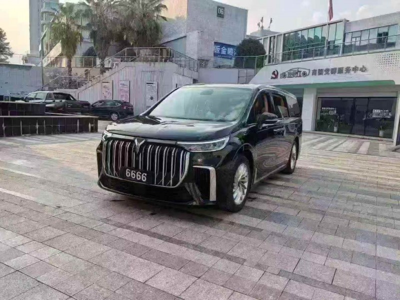 九江24年岚图汽车梦想家2