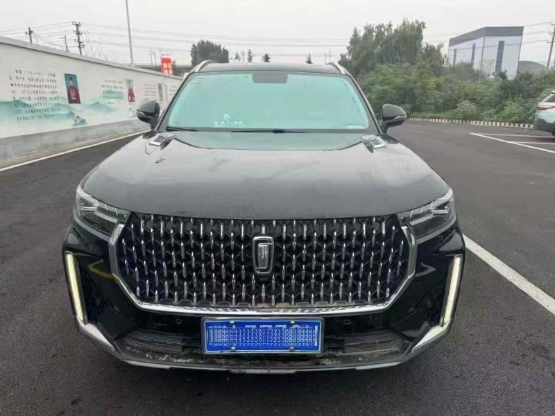 洛阳20年奔腾T991