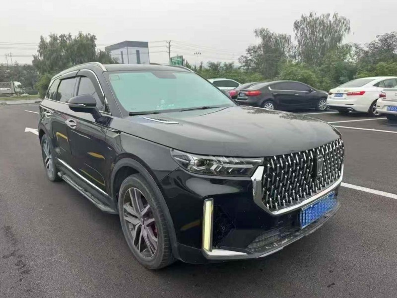 洛阳20年奔腾T993