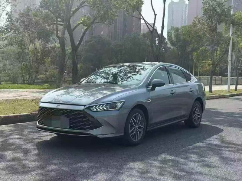 鄂州24年比亚迪秦2