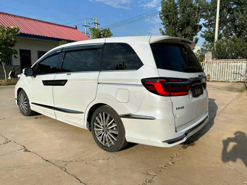 焦作25年本田艾力绅8