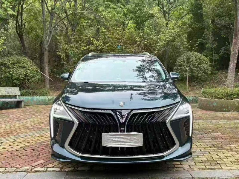 枣庄23年东风风行1